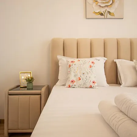 Luxury Cozy Collection In *