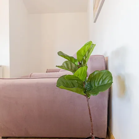 Luxury Collection Aparthotel In Brasov Apartahotel