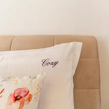 Luxury Cozy Collection In
