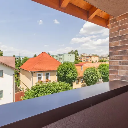 Luxury Cozy Collection In Braşov
