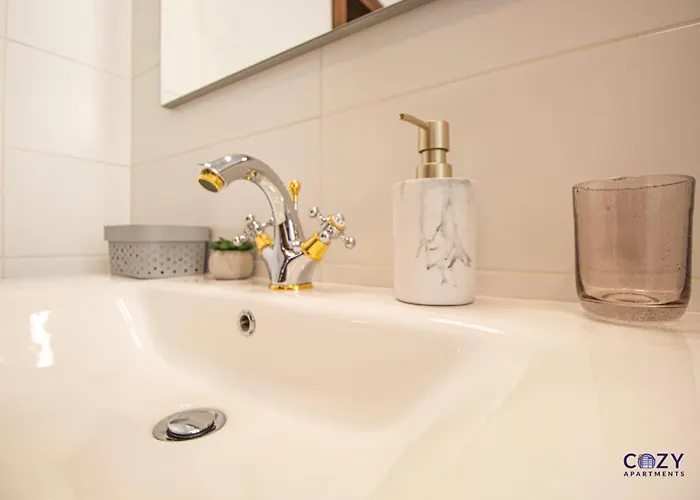 Aparthotel Luxury Collection In Brasov