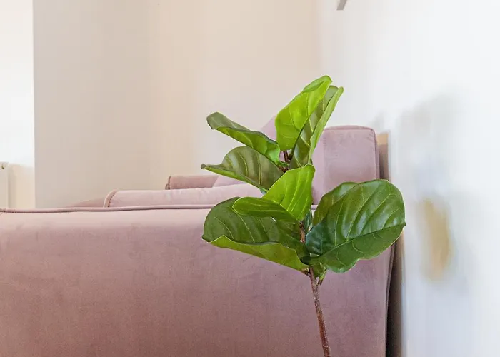 Luxury Collection In Apart Otel