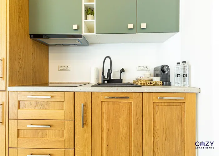 Luxury Collection In Aparthotel Brasov